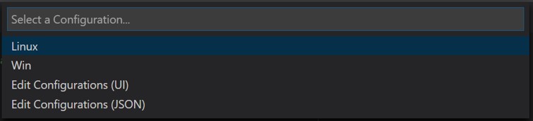 VS Code Intellisense configs